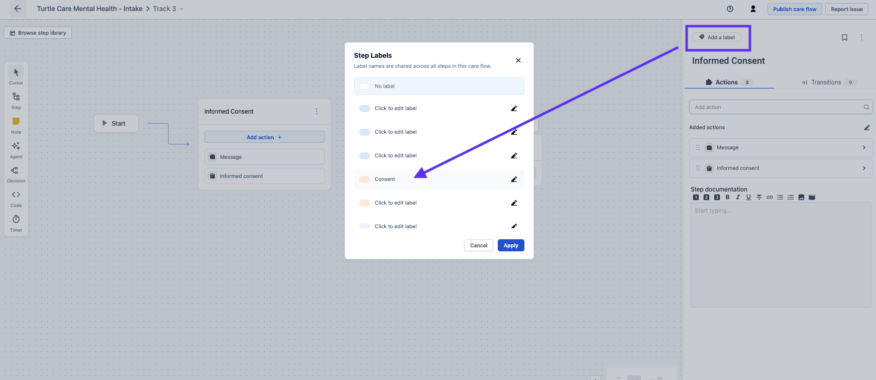 The Step Labels dialog, with a colour for each label and one named Consent